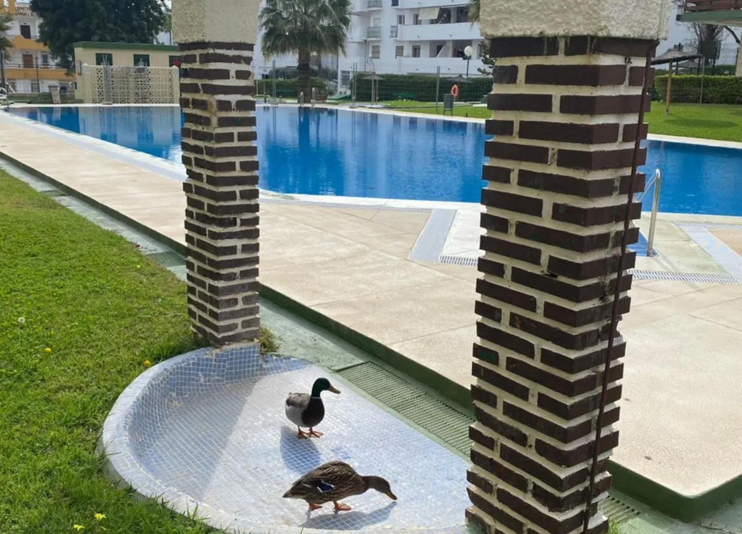 Apartamentos Naciones Playa, Los Molinillos Benalmádena